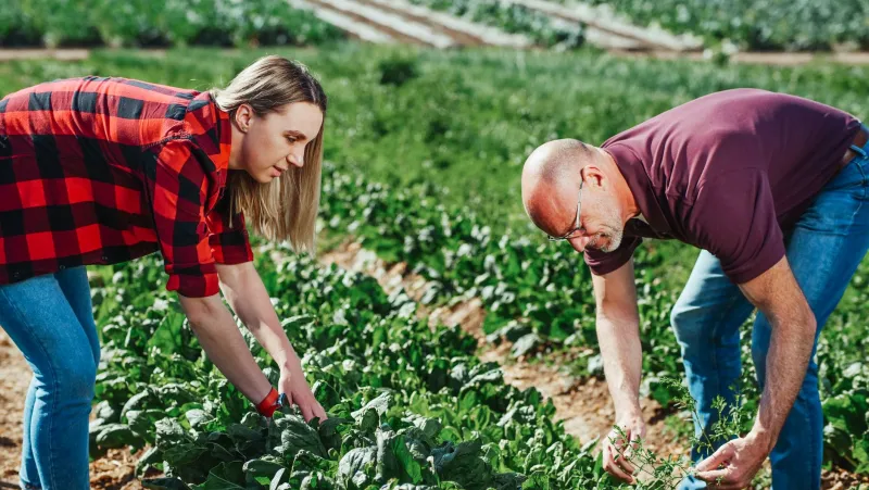 Agriculture régénérative : les exploitants français qui chiffrent le vrai coût d'un sol en bonne santé