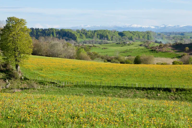 Quand la nature devient capital : les exploitants français qui font de leur biodiversité un moteur économique