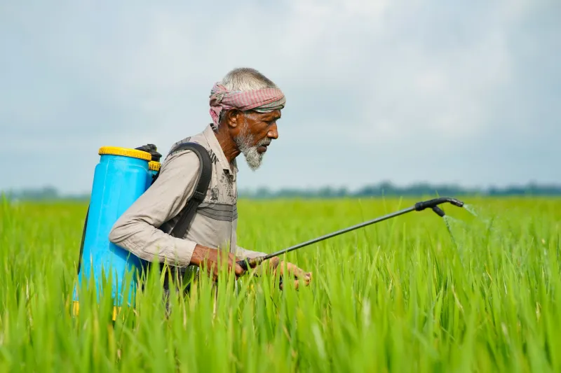 Ce que cache vraiment le prix d'un traitement phytosanitaire : l'analyse comparative qui fait réfléchir