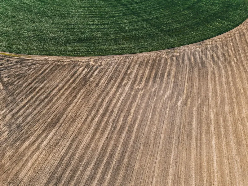Crédits carbone en agriculture : transformer ses pratiques durables en source de revenus complémentaires