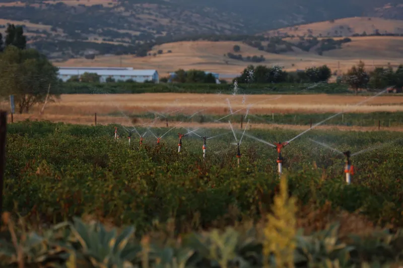Dessaler l'avenir : comment des agriculteurs littoraux français misent sur l'eau de mer pour sécuriser leurs cultures