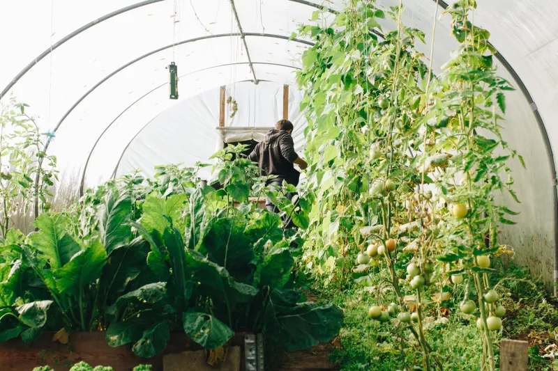Labels verts en agriculture : le guide pour choisir la certification qui correspond vraiment à votre exploitation