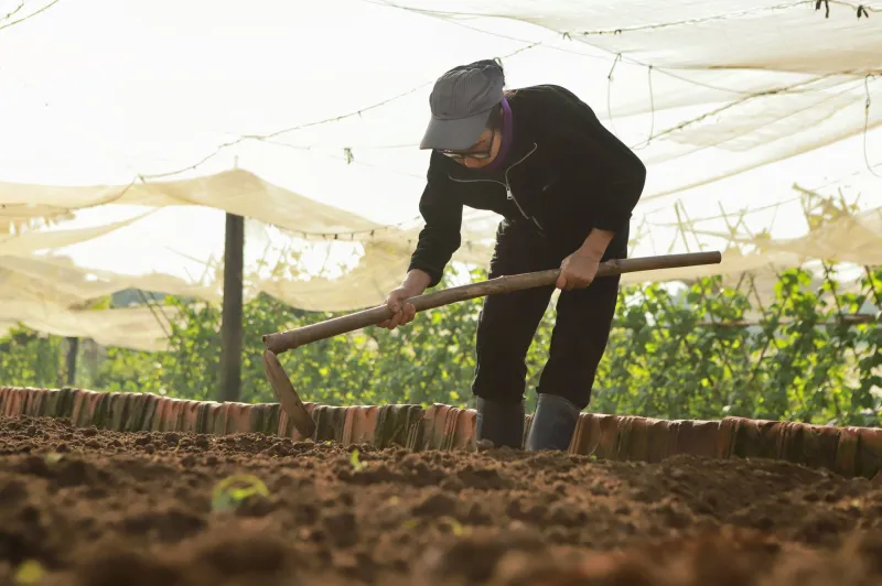 Micro-organismes au travail : les agriculteurs français qui font de la fermentation leur meilleur intrant