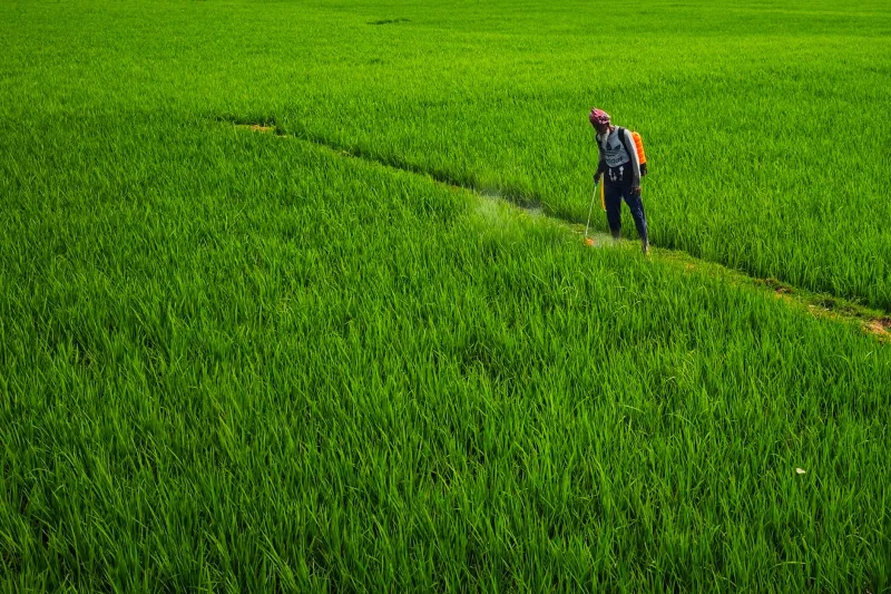 Sortir des phytosanitaires sans perdre pied : les feuilles de route d'exploitants français qui ont trouvé l'équilibre